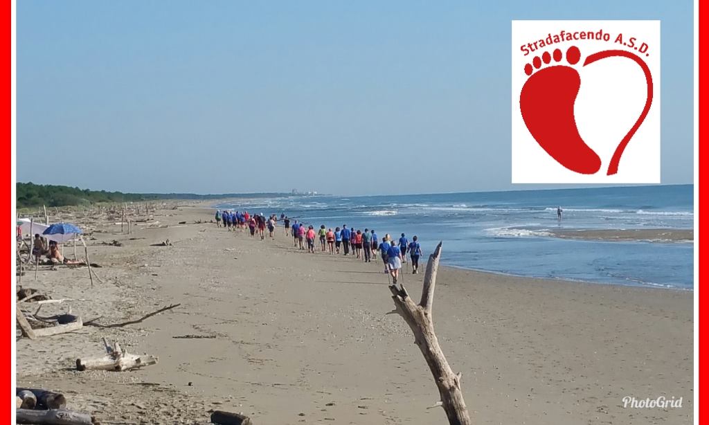 Al momento stai visualizzando 9 settembre 2018 – Risveglio muscolare e Nordic Walking all’alba a Lido di Classe