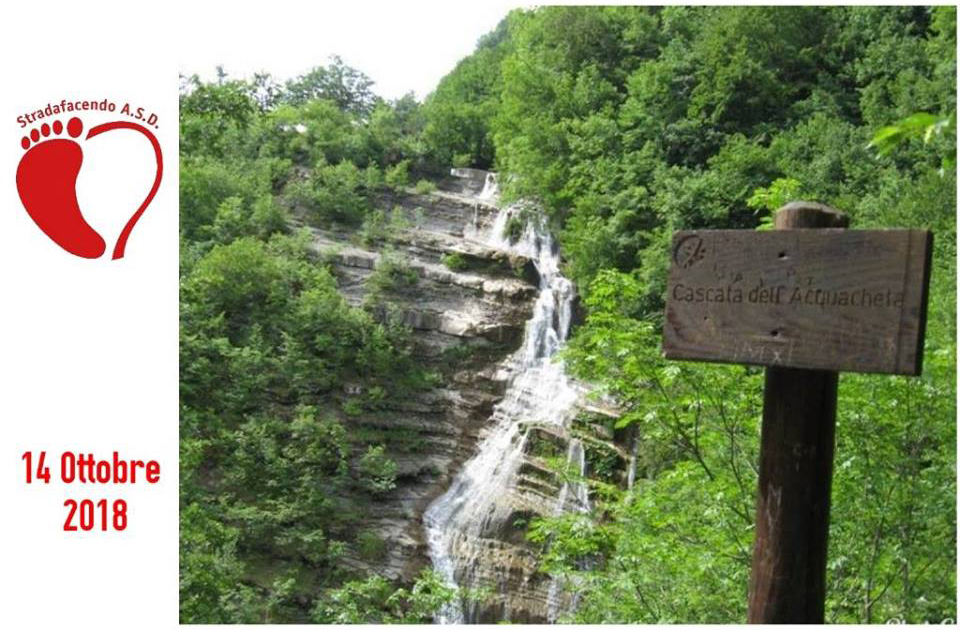 Al momento stai visualizzando Domenica 14 Ottobre 2018 – Autunno Nordic Walking verso le Cascate dell’Acquacheta