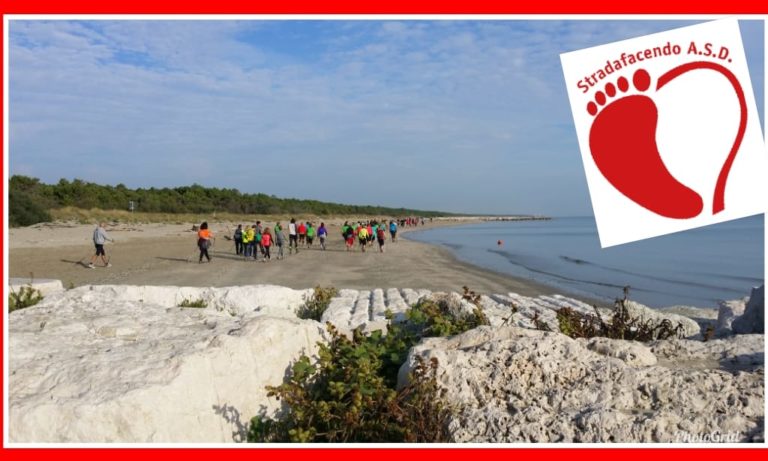 Scopri di più sull'articolo Sabato 20 ottobre 2018 – Nordic Walking al mare in autunno