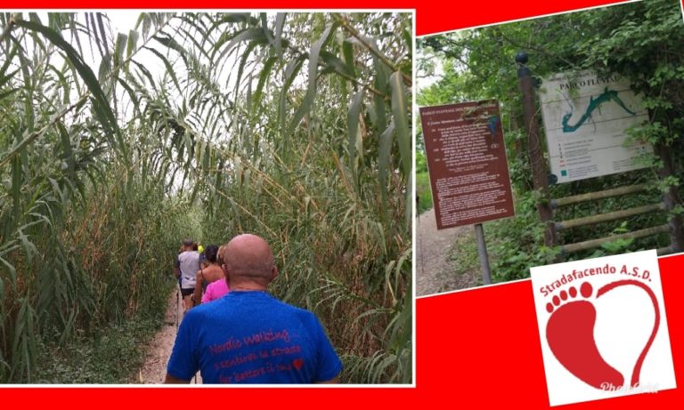 Scopri di più sull'articolo ANNULLATA Causa Allerta Meteo – Domenica 5 maggio 2019 – Nordic Walking lungo il Parco Fluviale Forlì – Castrocaro Terme