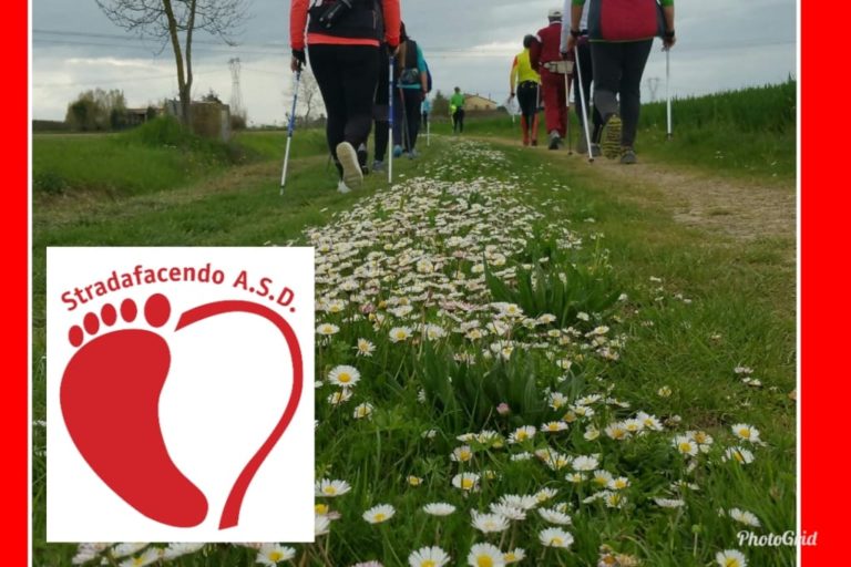 Read more about the article Venerdì 10 maggio 2019 – Nordic Walking a Gambellara