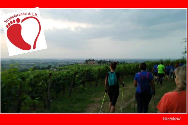 Scopri di più sull'articolo Lunedì 17 giugno 2019 – Bertinoro in notturna con luna piena