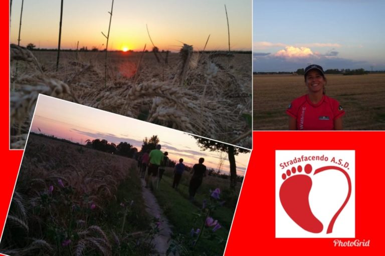 Scopri di più sull'articolo Lunedì 24 giugno 2019 – Nordic Walking al tramonto e il solstizio d’estate