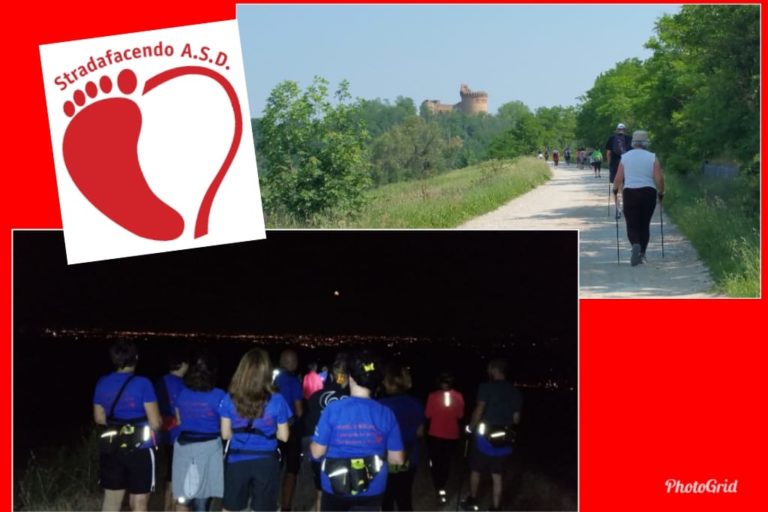 Scopri di più sull'articolo Giovedì 4 luglio 2019 – Nordic Walking a Monte Poggiolo al tramonto