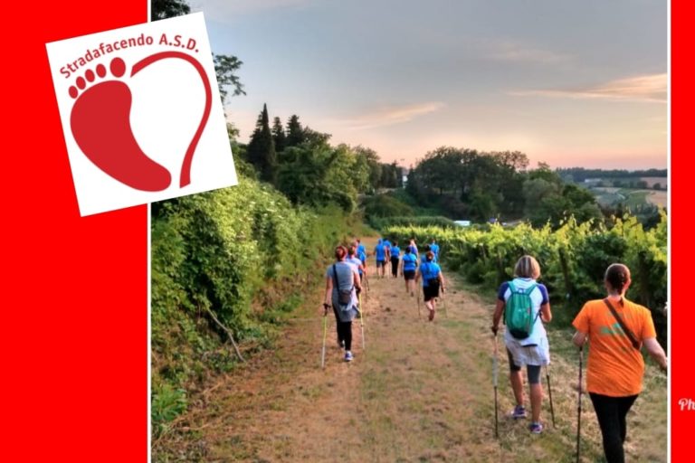 Scopri di più sull'articolo Martedì 3 settembre 2019 – Nordic Walking in nottura a Bertinoro con Stradafacendo Asd