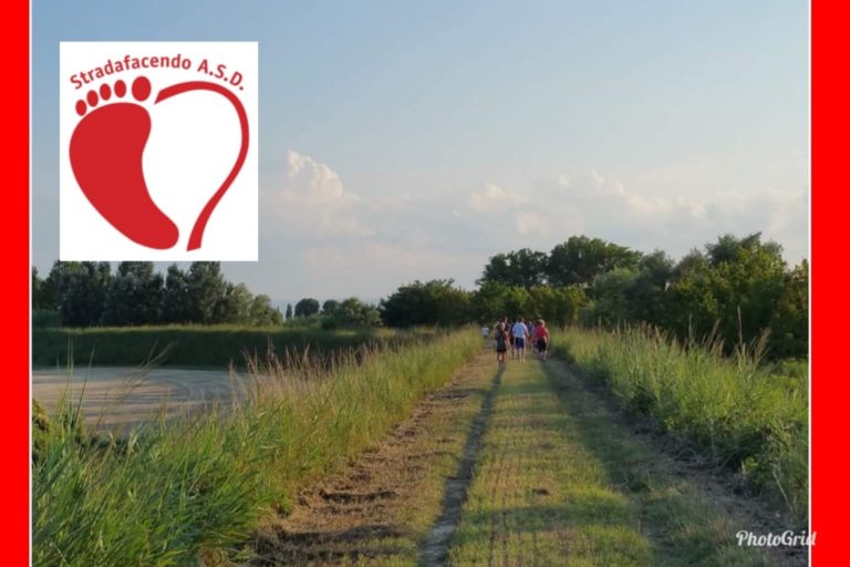 Scopri di più sull'articolo Lunedì 12 agosto 2019 – Nordic Walking a Filetto